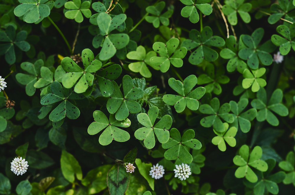 Business Booming or Just a Lucky Streak?